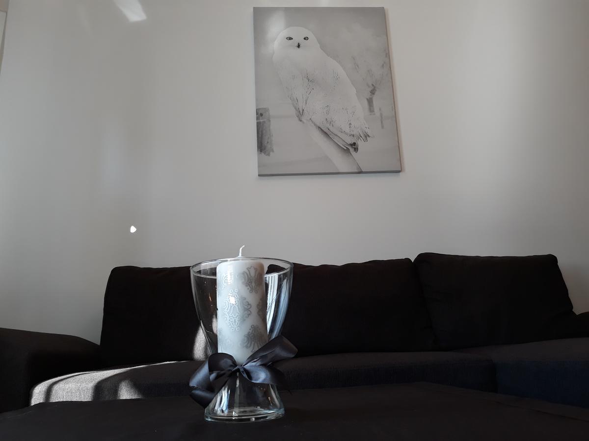 Mg Apartments Siedmiogrodzka ワルシャワ エクステリア 写真